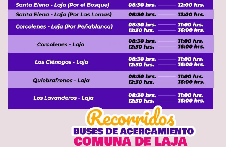 Buses  de  asercamiento  elecciones   domingo  17 de noviebre