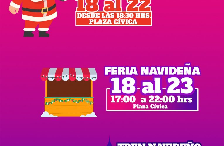 feria  Navideña   en Laja