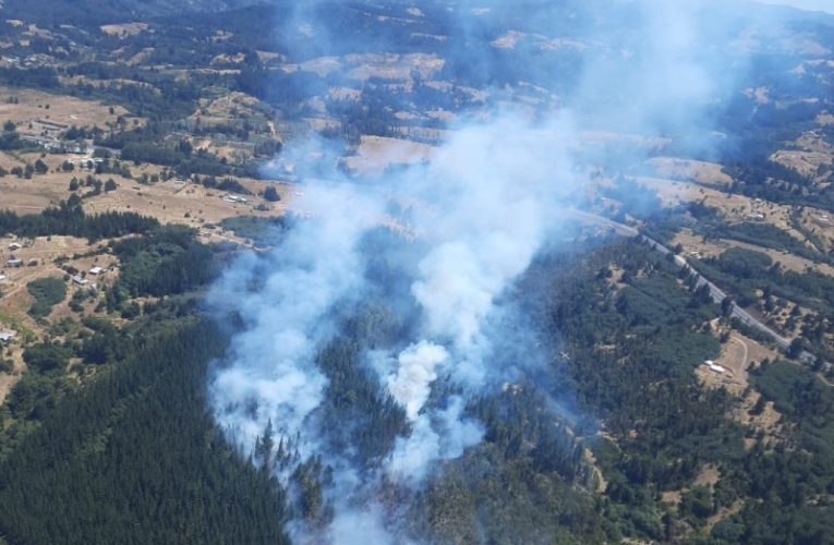 Brigadas y aeronaves de CMPC combaten cinco incendios en las regiones de Biobío y La Araucanía
