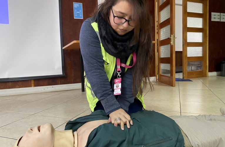 Capacitación en Emergencias Médicas Fortalece Competencias en Docentes y Asistentes Educacionales