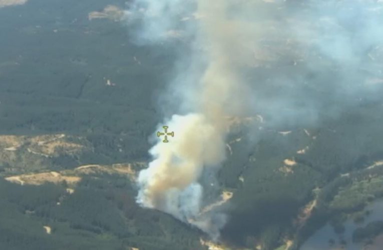 CMPC combate incendio en San Rosendo con amplio despliegue